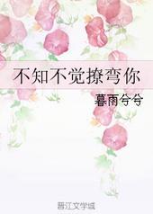 不知不觉爱上你gl免费阅读