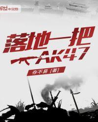 落地一把ak47全本
