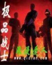 极品士兵电视连续剧