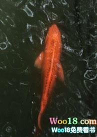 他好乖狗狗运动