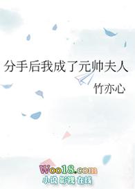 分手后我成了元帅夫人番外