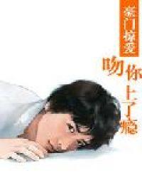 吻你吻上瘾简介