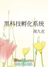 黑科技孵化系统H