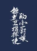 锦衣卫指挥使