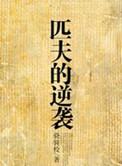 匹夫的逆袭后面是哪部