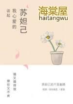 谈起我心爱的苏妲己歌词