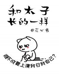 和暴戾太子长得一样在线阅读