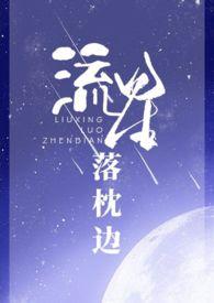 流星落枕边by紫苏鱼