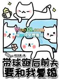 带球跑后前夫要和我复婚 by顽石如意