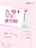 九爷宠妻请节制阅读