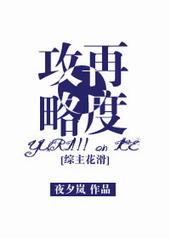 综再度攻略txt