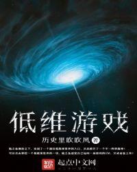 低维游戏什么时候出的