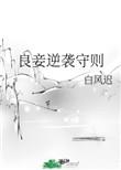良妾的生存法则