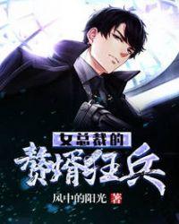 女总裁的赘婿兵王 帝国小吏