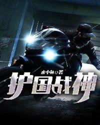 护国战神一口气看完全集