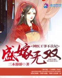 盛嫁无双神医王爷不良妃 三木游游