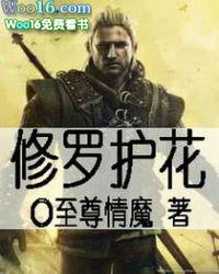 修罗护花txt
