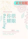 歌词我才发现你很耀眼