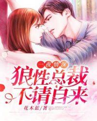 一夜情深 狼性总裁