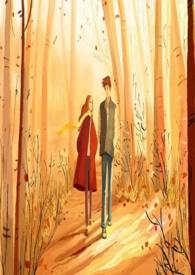 了不起的苏菲电影免费观看