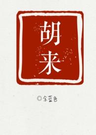 男主叫胡来的