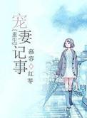 宠妻重生文