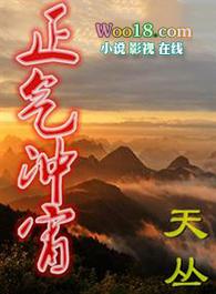 正气冲病灶