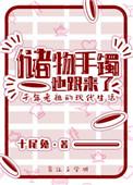 储物手镯也跟来了作者十尾兔