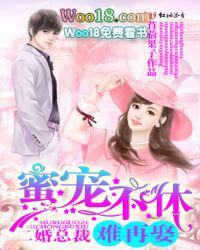 二婚成宠
