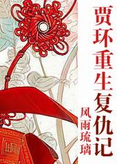 贾环重生复仇记风雨玻璃
