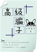 高级玩意