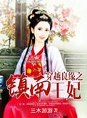 穿越良缘之镇南王妃免费