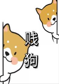 贱狗狗什么意思