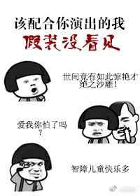 该配合你演出的我尽力在表演歌词是什么意思