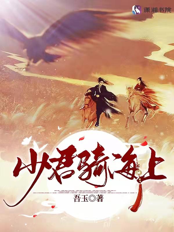 少君骑海上升讲的是什么