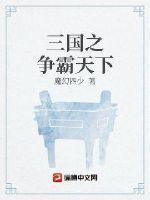 三国之争霸天下刘璟免费阅读