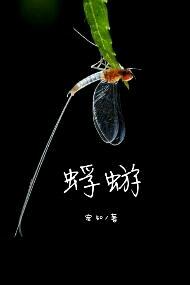 蜉蝣歌词