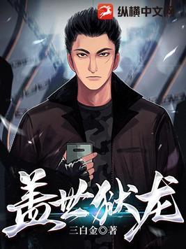 盖世龙战
