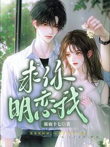 求你明恋我秦迎夏免费阅读