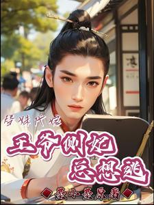 替嫁王妃全文阅读