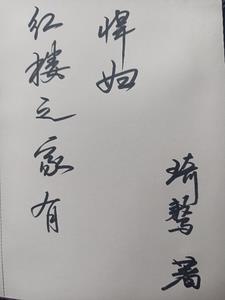红楼之林家有子...