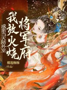 我放火烧将军府里沈括的救命恩人是谁