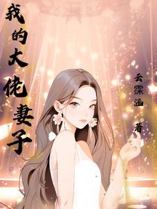 我的老婆我大佬3