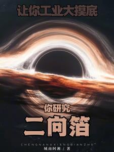二向箔公司怎么样