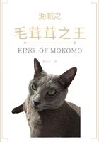 海贼王之干