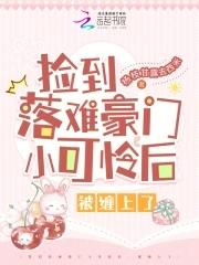 捡到豪门走丢的小少爷之后全文