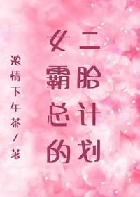 女霸总的二胎计划gl