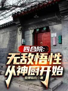 四合院我傻柱绝不接锅!