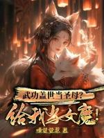 武功盖世英雄