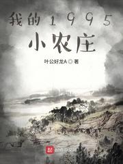 我的1995小农庄TXT免费